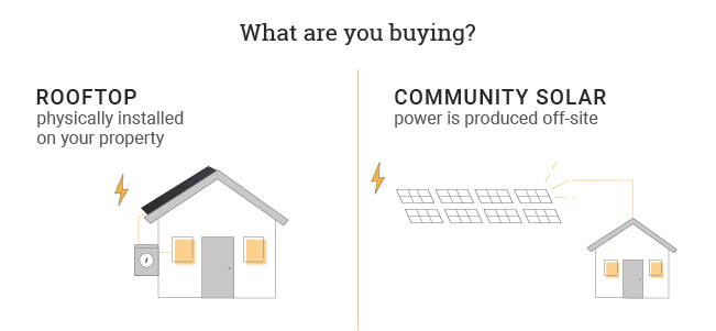 community solar farm